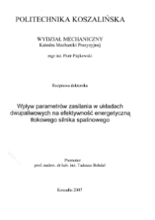 Wpływ parametrów zasilania w układach dwupaliwowych na efektywność energetyczną tłokowego silnika spalinowego : rozprawa doktorska