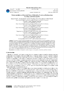 Phytoremediation of brackish waters polluted by petroleum hydrocarbon by using Azolla microphylla
